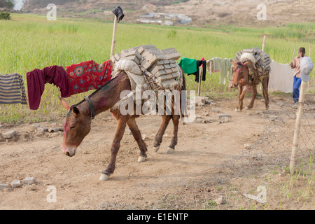 Ziegel-Fabrik, Godawari, Kathmandu, Nepal Stockfoto