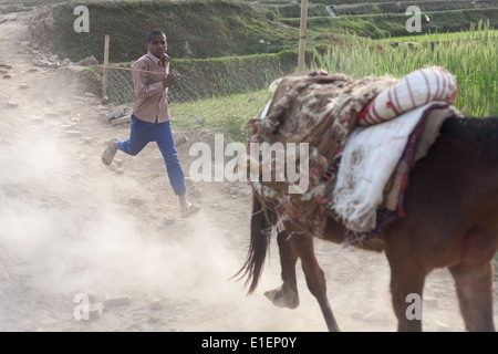 Ziegel-Fabrik, Godawari, Kathmandu, Nepal Stockfoto