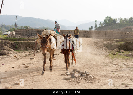 Ziegel-Fabrik, Godawari, Kathmandu, Nepal Stockfoto