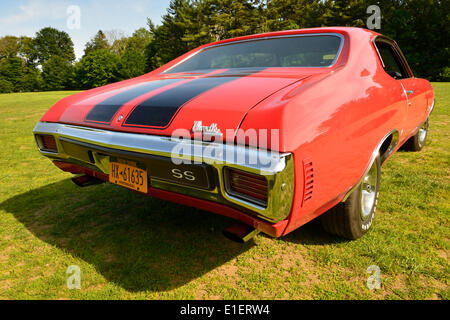 New York, USA. 1. Juni 2014. Eine ikonische rot mit schwarzen Streifen-Muscle-Car 1970 brachte Chevrolet Chevelle SS 396 - 350 Basismodell, von seinem Besitzer John McAleese Seaford, ein Besucher an der Antik und Sammler Auto Show statt auf dem historischen Gelände des eleganten Old Westbury Gardens auf Long Island und gesponsert durch größere New York Region AACA Antique Automobile Club of America. Bildnachweis: Ann E Parry/Alamy Live-Nachrichten Stockfoto