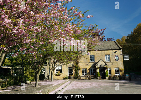 Trainer und Pferde (Ganborough) Pub mit rosa Blüte auf A424 Stockfoto