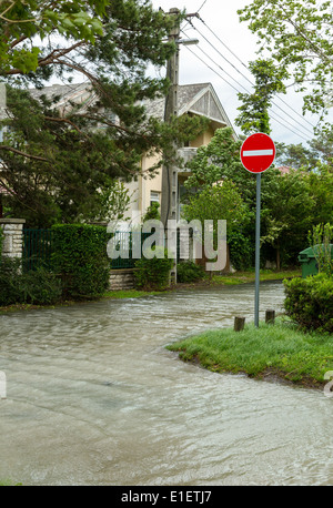 Überflutete Gelände in Balaton Stockfoto