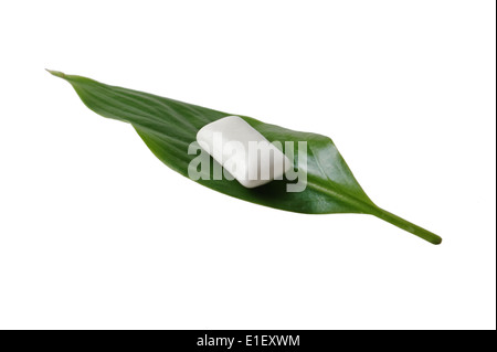 Kaugummi auf einem grünen Blatt isoliert auf weißem Hintergrund Stockfoto