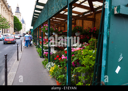 Paris, die Inselstadt, Blumenmarkt, Ile De La Cité, Marché Aux Fleurs, Frankreich Stockfoto