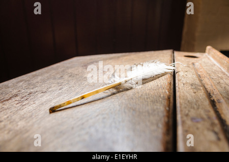 Eine Feder Feder sitzt auf einem alten hölzernen Schulbank Stockfoto