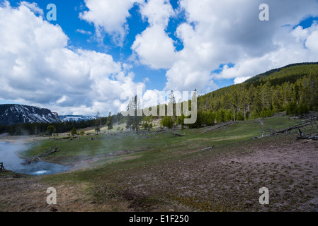 Thermalquelle speist in einem Fluss. Yellowstone-Nationalpark, Wyoming, USA. Stockfoto