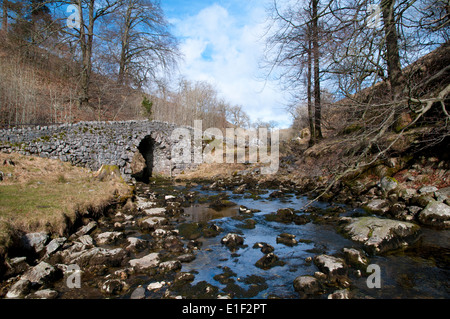 Eine alte Steinbrücke über Clapham Beck wo es aus Ingleborough Höhle austritt. Yorkshire Dales National Park, North Yorkshire. Stockfoto