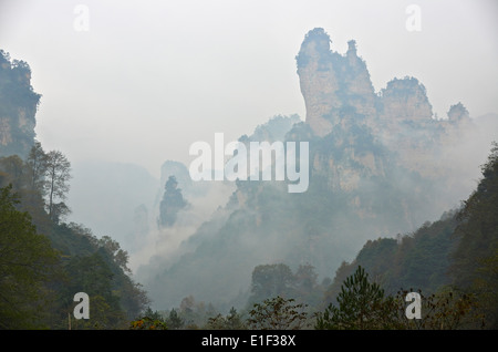 China, Provinz Hunan, Zhangjiajie, Wulingyuan Scenic Area, nationale Waldpark Zhangjiajie, Unesco Welt Kulturerbe Stockfoto