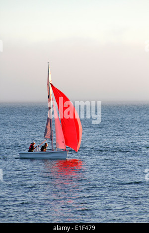 Segelboot mit roten Segeln, Lee auf Solent, Hampshire, England Stockfoto