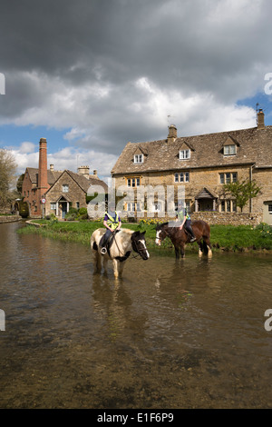 Pferde in den Augen der Fluss mit dem Old Mill Museum Stockfoto