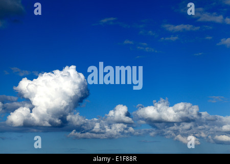 Weißen Cumulus Wolken, blauer Himmel Wolke Himmel UK Stockfoto
