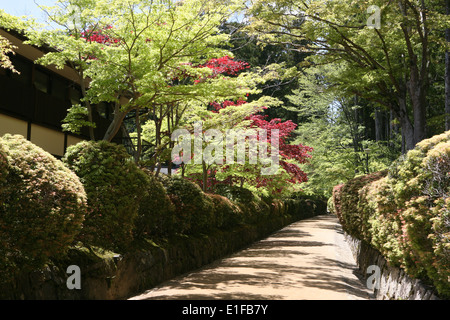 Bestandteil der Dai Garan Komplex in Koyasan Japan Stockfoto