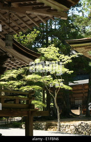 Bestandteil der Dai Garan Komplex in Koyasan Japan Stockfoto