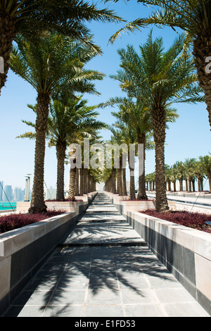 Schöne Linie der Palmen, die zum Eingang von der schönen Museum für islamische Kunst in Doha Katar. Stockfoto