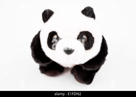 Panda Teddybär Stofftier auf weißem Hintergrund Stockfoto