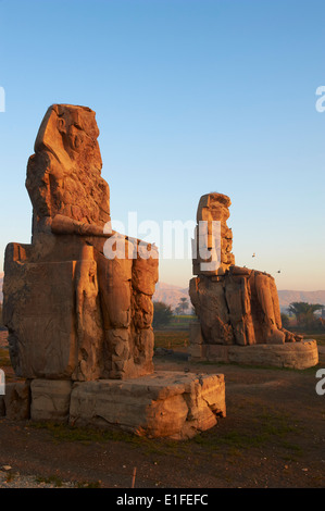 Kolosse von Memnon, geschnitzt, den 18. Dynastie Pharao Amenophis III, West Bank des Nils, Theben, Ägypten zu vertreten Stockfoto