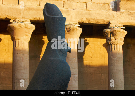 Ägypten, Nil Senke, Edfou, Horus-Tempel, der Falke Horus Stockfoto