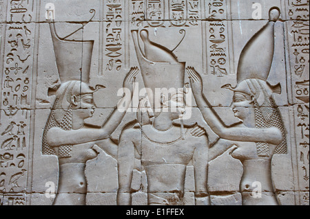 Ägypten, Nil Senke, Edfou, Horus Tempel Stockfoto