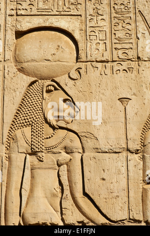 Ägypten, Nil Senke, Kreuzfahrt auf dem Nil zwischen Luxor und Assuan, Kom Ombo, Tempel von Sobek und Horus, Göttin Sekhmet Löwe Stockfoto