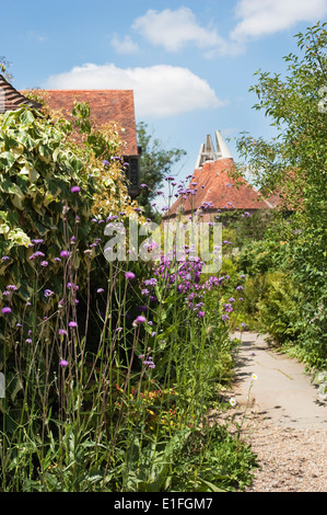 Verbena bonariensis in den Gärten durch den Gärtner Christopher Lloyd im Great Dixter in Ewhurst, East Sussex, UK erstellt. Stockfoto