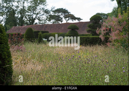 Die Hecke Rasen erstellt vom Gärtner Christopher Lloyd am Great Dixter in Northiam, East Sussex, England, UK. Stockfoto