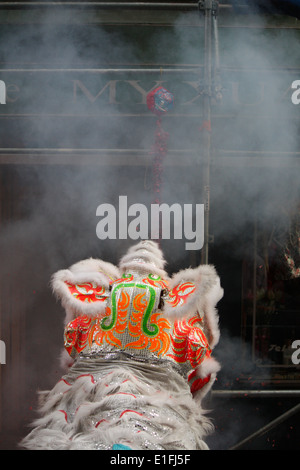 Chinesische Gemeinschaft in Lyon feiert das Chinese New Year, Lyon, Rhone, Rhone-Alpes, Frankreich Stockfoto