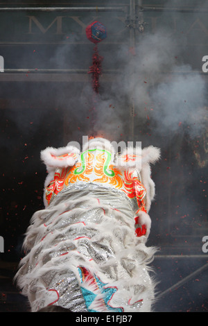 Chinesische Gemeinschaft in Lyon feiert das Chinese New Year, Lyon, Rhone, Rhone-Alpes, Frankreich Stockfoto