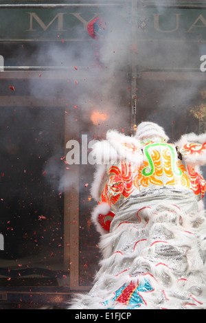 Chinesische Gemeinschaft in Lyon feiert das Chinese New Year, Lyon, Rhone, Rhone-Alpes, Frankreich Stockfoto