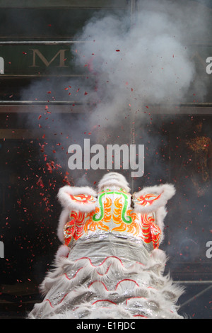 Chinesische Gemeinschaft in Lyon feiert das Chinese New Year, Lyon, Rhone, Rhone-Alpes, Frankreich Stockfoto