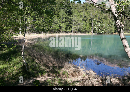 Akan-Nationalpark 阿寒国立公園 See Onnetoh oder Onneto Stockfoto