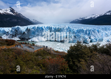 Perito Moreno-Gletscher. Nationalpark Los Glaciares. Patagonien. Argentinien Stockfoto