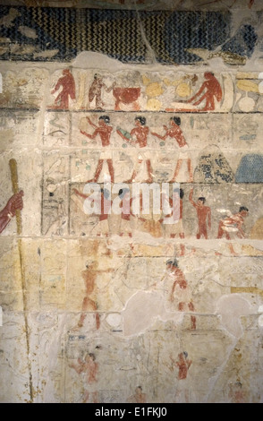 Mastaba des Nefer und Kahay. Polychrome Relief mit landwirtschaftlichen Szenen. 5. Dynastie. Altes Königreich. Sakkara. Ägypten. Stockfoto