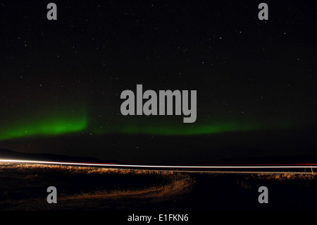 Island-Reykjavik-Nordlicht Stockfoto