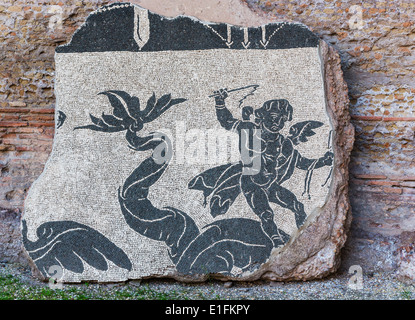 Rom, Italien. Bäder von Caracalla. Fragment des Mosaiks in der Palästra, junge, Reiten, was ein Delphin sein kann. Stockfoto