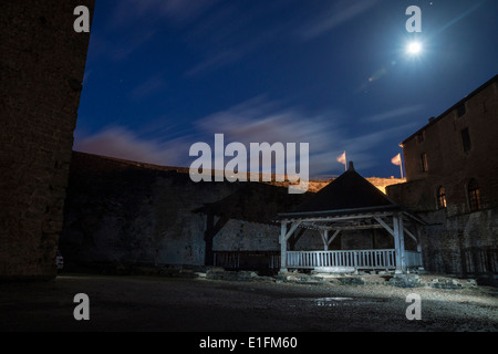 Sedan, Frankreich. Ein alter Brunnen im Hof des Le Chateau Fort Hotel, unter einem mondbeschienenen Himmel. Stockfoto