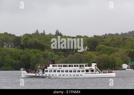 Windermere "Dampfer" M.V. Swan Segeln Norden zwischen Bowness und Ambleside am Lake Windermere im englischen Lake District. Stockfoto