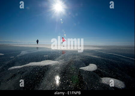 Läufer am 10. Baikal Ice Marathon laufen auf der gefrorenen Oberfläche der größte See der Welt, Oblast Irkutsk, Sibirien, Russland Stockfoto