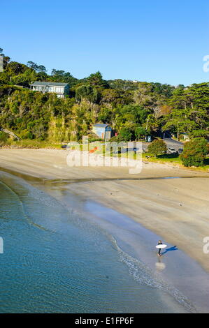 Blick über kleine Oneroa Beach, Waiheke Island, Hauraki Gulf, Nordinsel, Neuseeland, Pazifik Stockfoto
