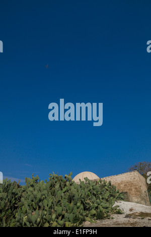 Unteren Galiläa, Israel. Einen alten Schrein und ein Kaktus im Nationalpark Beit She'arim absichern. Stockfoto