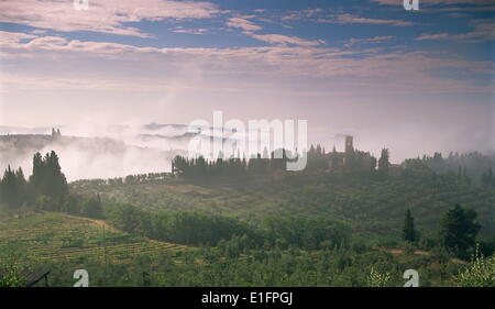 Am frühen Morgen Blick über nebligen Hügeln in der Nähe von Certaldo, Toskana, Italien, Europa Stockfoto