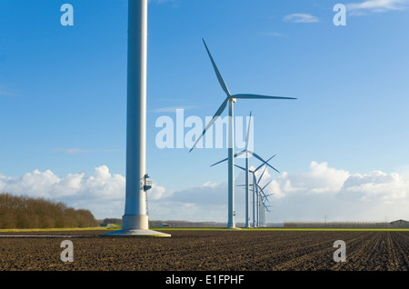 Reihe von Windmühlen in einer Agrarlandschaft in den Niederlanden Stockfoto