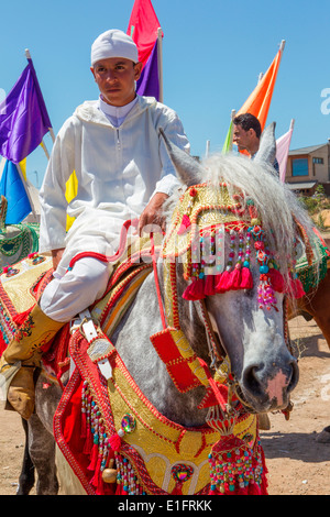 Detail der traditionell eingerichteten arabischen Barb Pferde erklingt in eine Fantasie in der Nähe von Rabat in Marokko. Stockfoto