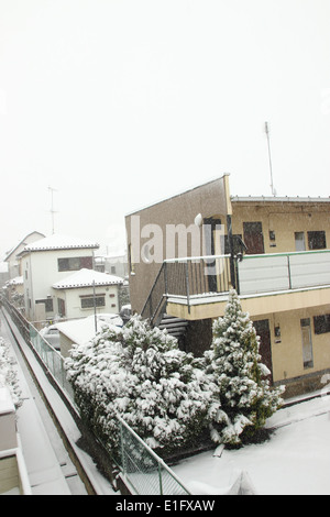 Japan - Feb08: Die schwersten Schnee in Jahrzehnten in Tokio und anderen Bereichen von Japan, am 8. Februar 2014 in Japan Stockfoto