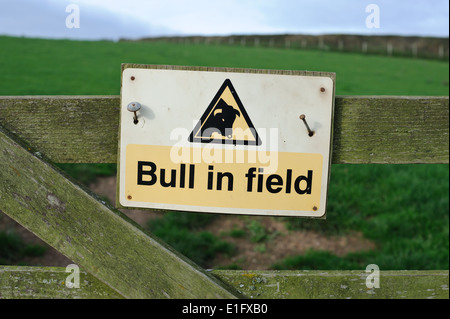 Ein Schild warnt, dass es ein Stier in einem Feld in Nord-Devon wackelt. Stockfoto