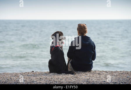 Ein Retriever-Mix und seinem Besitzer suchen an der Ostsee auf der Insel Lolland in Dänemark am 1. Juni 2013. Stockfoto