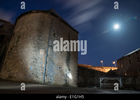 Sedan, Frankreich. Ein alter Brunnen im Hof des Le Chateau Fort Hotel, unter einem mondbeschienenen Himmel. Stockfoto