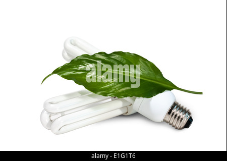 Leuchtstofflampen und grünes Blatt isoliert auf weißem Hintergrund Stockfoto