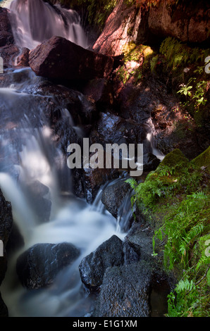 Schöner Wasserfall über die Felsen in Nova Scotia Kanada Stockfoto