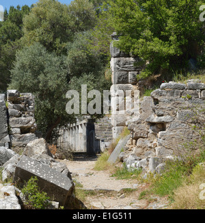 Weg zum Theater, Priene, Türkei 140415 60671 Stockfoto