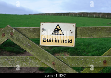 Ein Schild warnt, dass es ein Stier in einem Feld in Nord-Devon wackelt. Stockfoto